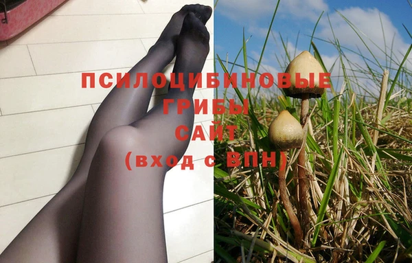 МДПВ Михайловка