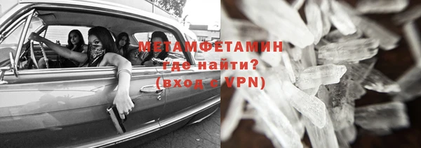 прущие грибы Медвежьегорск