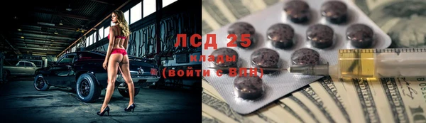 прущие грибы Медвежьегорск