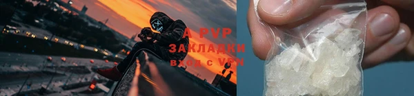 ПСИЛОЦИБИНОВЫЕ ГРИБЫ Михайловск