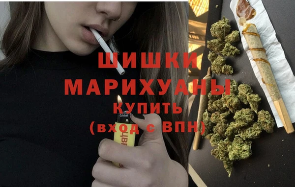 прущие грибы Медвежьегорск