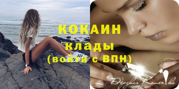 прущий лед Михайлов