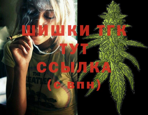 амф Медногорск