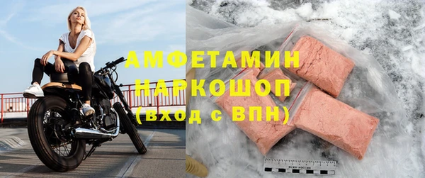 прущие грибы Медвежьегорск