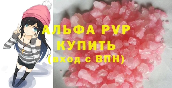 прущие грибы Медвежьегорск