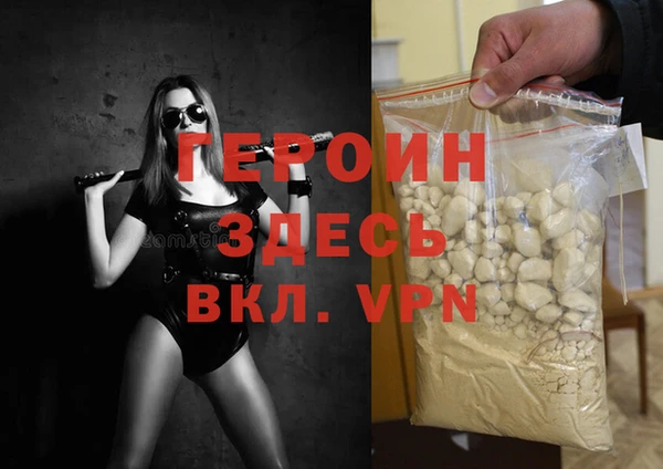 прущие грибы Медвежьегорск