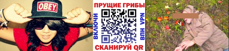 Псилоцибиновые грибы Magic Shrooms  Ишим 