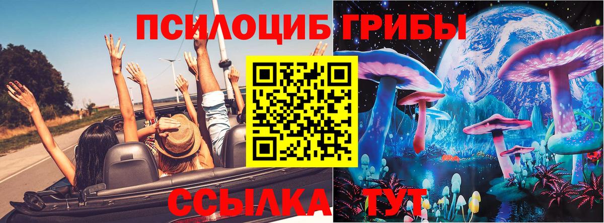 купить наркоту  Ишим  Псилоцибиновые грибы мухоморы 