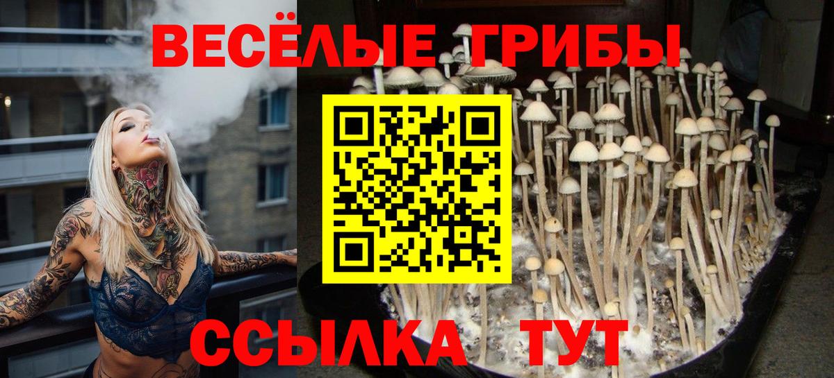 Псилоцибиновые грибы GOLDEN TEACHER Ишим