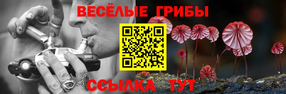 Ишим  Псилоцибиновые грибы GOLDEN TEACHER  Вход с VPN 