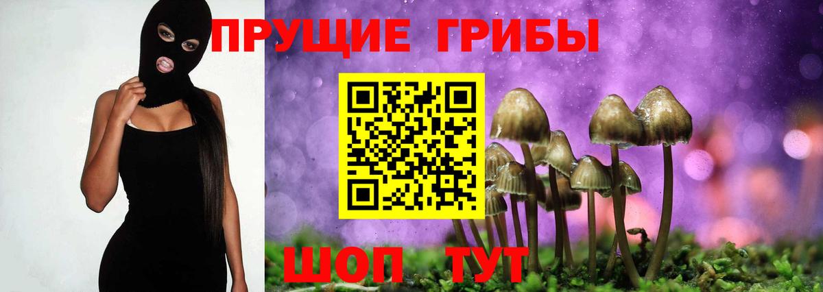LSD-25  Hash Oil  Где продают наркотики?  Марихуана  Гашик  Кокаин  Ишим  Мефедрон  ГАШ  Cocaine  Вход с VPN 