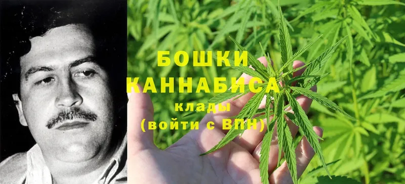 закладка  Ишим  Бошки марихуана план 